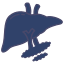 Gall stones icon
